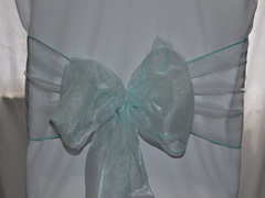 Organza Wedding Sashes